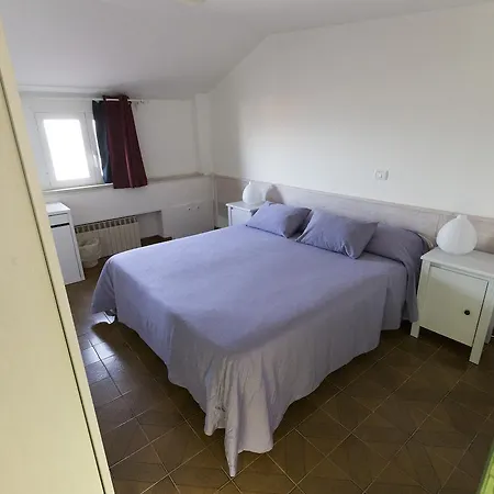 Typo Typica Πέζαρο